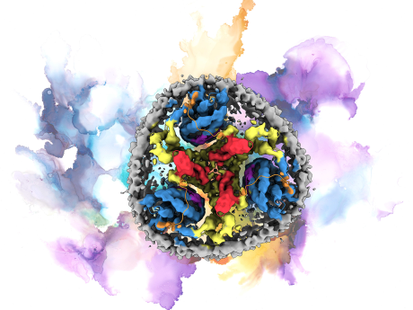 Fall Meeting 2021 artist