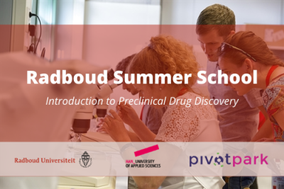 Summer School afbeelding 1