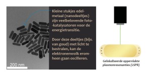 Guus 1