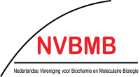 NVBMB-2019