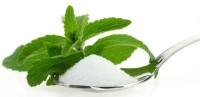 GCK-Stevia