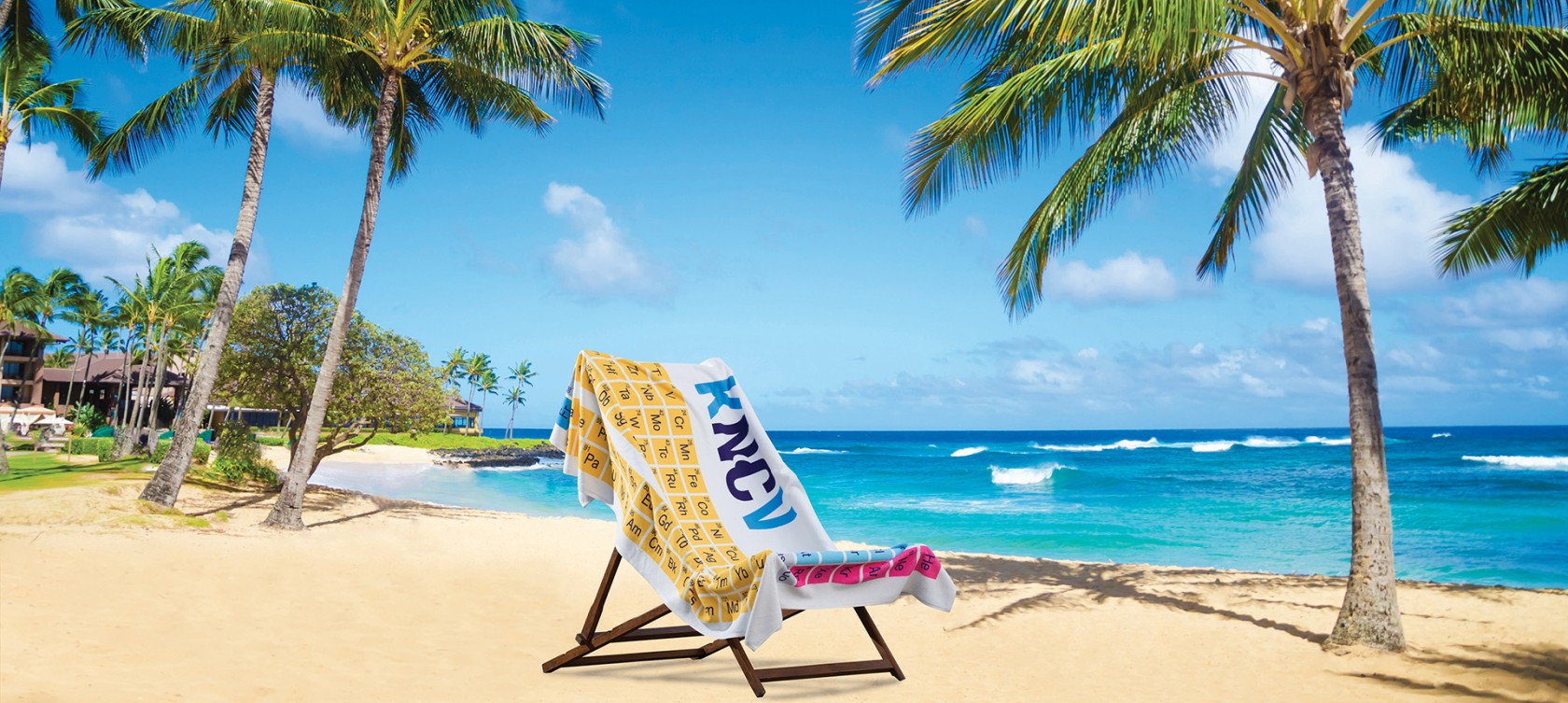 Coconut Palm tree on the sandy Poipu beach in Hawaii, Kauai